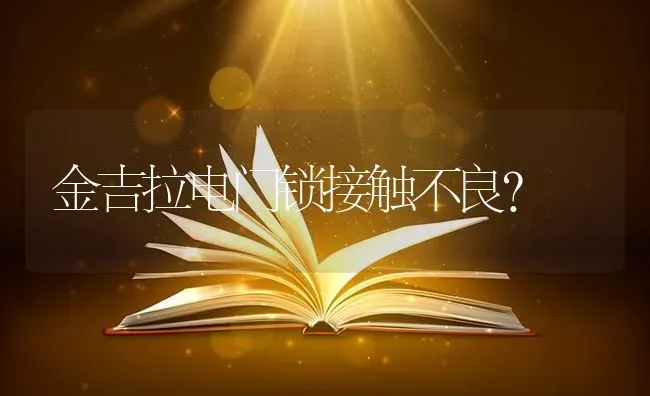 边牧劲子一边黑一边白。纯吗，你们觉得值什么价位？ | 动物养殖问答