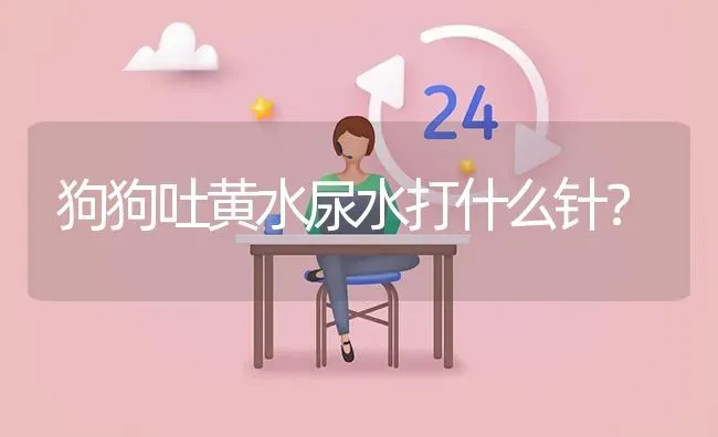 狗狗吐黄水尿水打什么针？ | 动物养殖问答