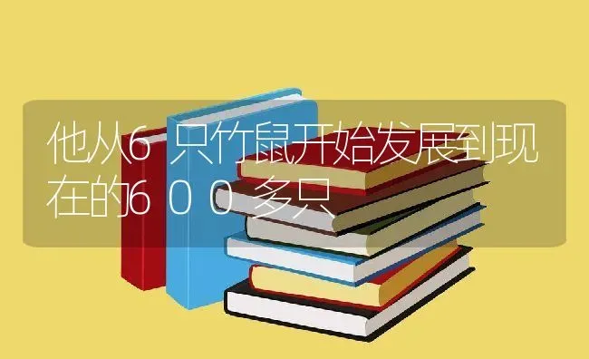 他从6只竹鼠开始发展到现在的600多只 | 动物养殖教程