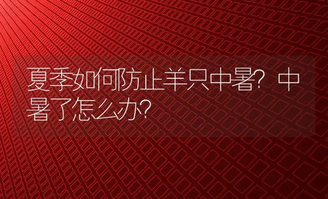 夏季如何防止羊只中暑？中暑了怎么办？ | 动物养殖百科