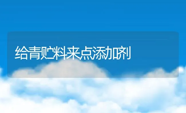 夏季池塘养蟹管理要点 | 海水养殖技术