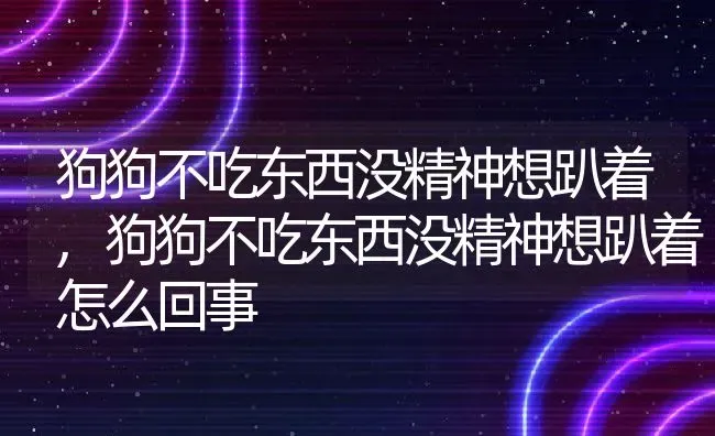 狗狗不吃东西没精神想趴着,狗狗不吃东西没精神想趴着怎么回事 | 宠物百科知识