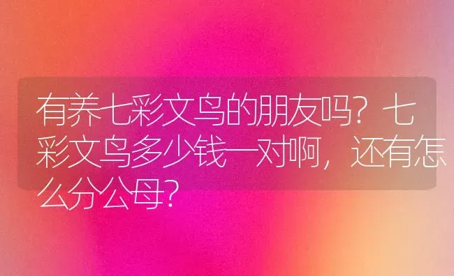 有养七彩文鸟的朋友吗？七彩文鸟多少钱一对啊，还有怎么分公母？ | 动物养殖问答