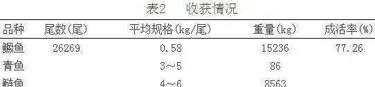 小型水库主养鳜鱼高效试验