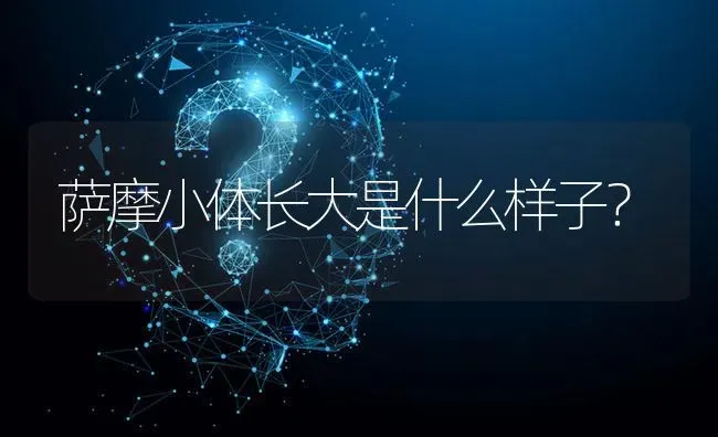 萨摩小体长大是什么样子？ | 动物养殖问答