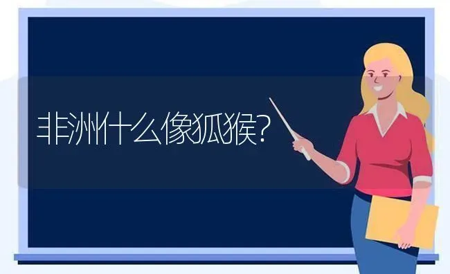 金毛一年可以繁殖几窝？ | 动物养殖问答