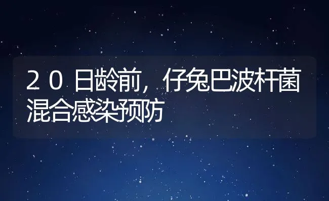 中西药防治奶牛先兆流产 | 动物养殖学堂