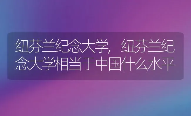 纽芬兰纪念大学,纽芬兰纪念大学相当于中国什么水平 | 宠物百科知识