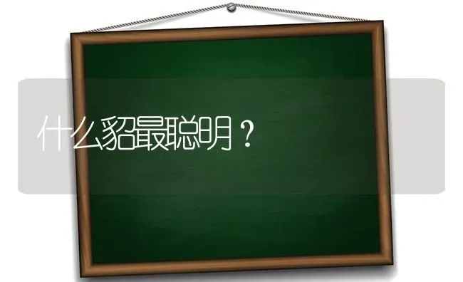 我的博美犬的尾巴怎么都没几根毛呀？ | 动物养殖问答