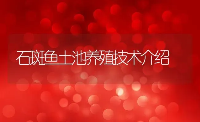 石斑鱼土池养殖技术介绍 | 动物养殖教程