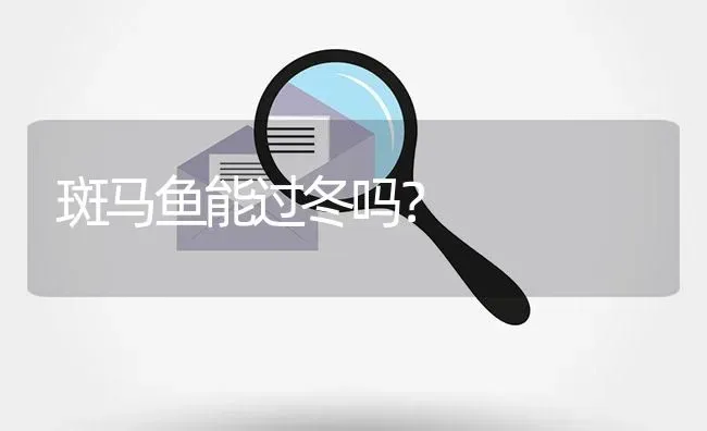 斑马鱼能过冬吗？ | 鱼类宠物饲养