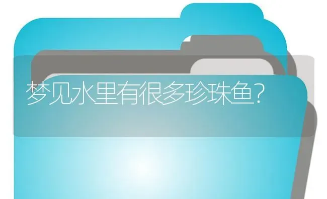 迷你鹦鹉吃什么鱼食最好？ | 鱼类宠物饲养