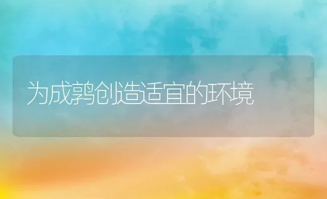 为成鹑创造适宜的环境 | 动物养殖教程