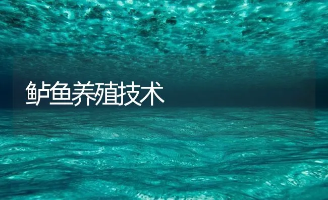 鲈鱼养殖技术 | 海水养殖技术