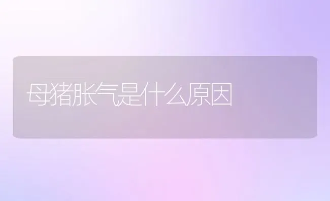 母猪胀气是什么原因 | 动物养殖百科