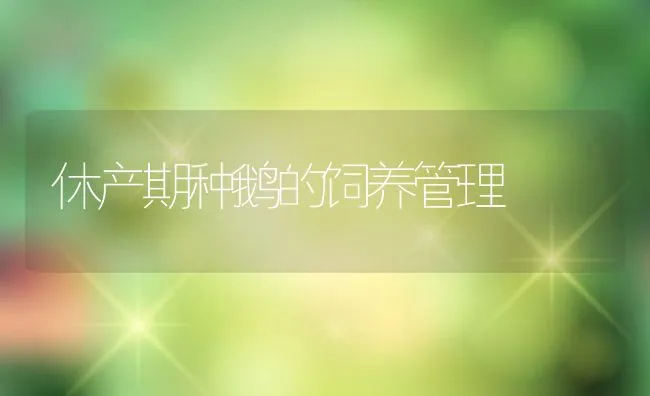 休产期种鹅的饲养管理 | 动物养殖学堂