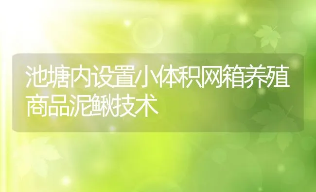 池塘内设置小体积网箱养殖商品泥鳅技术 | 动物养殖饲料