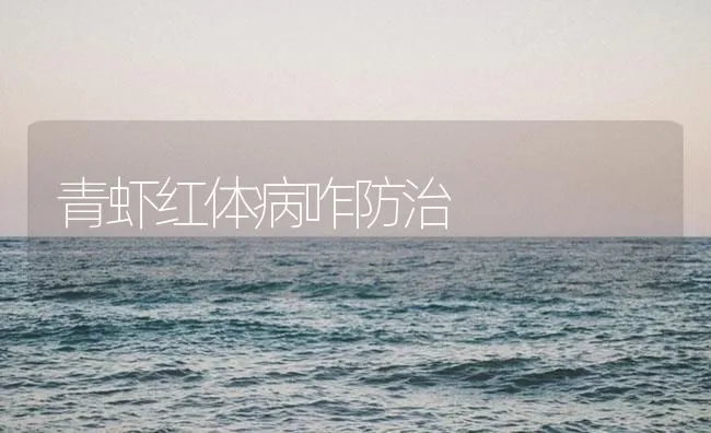 青虾红体病咋防治 | 海水养殖技术