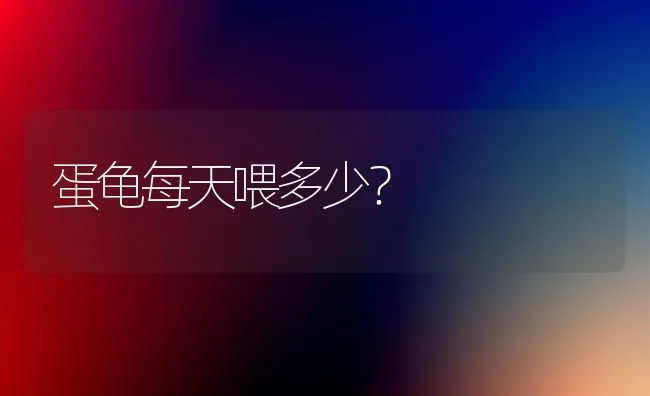 蛋龟每天喂多少？ | 动物养殖问答