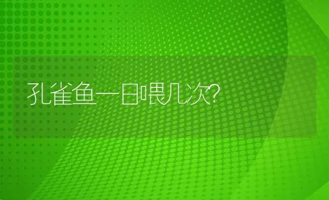 养仓鼠除了放木屑还能放什么？ | 动物养殖问答