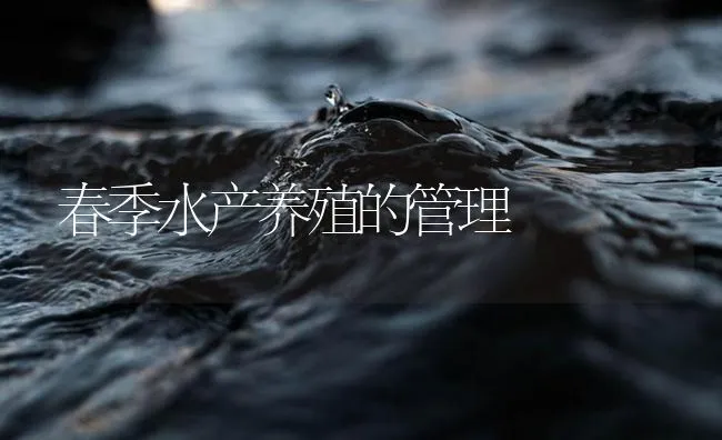 春季水产养殖的管理 | 海水养殖技术