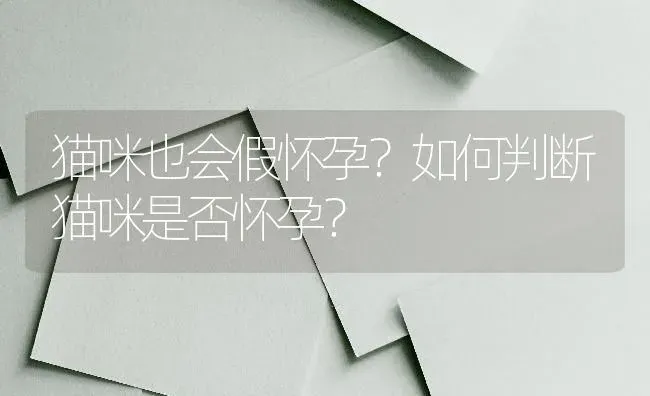 猫咪也会假怀孕？如何判断猫咪是否怀孕？ | 动物养殖问答