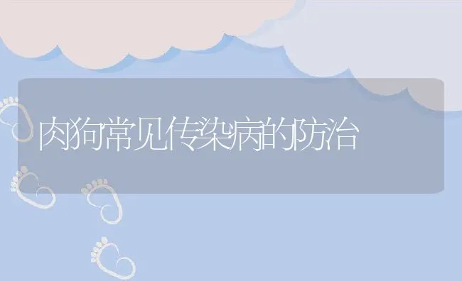 肉狗常见传染病的防治 | 水产养殖知识