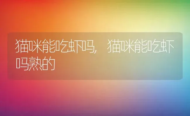 猫咪能吃虾吗,猫咪能吃虾吗熟的 | 宠物百科知识