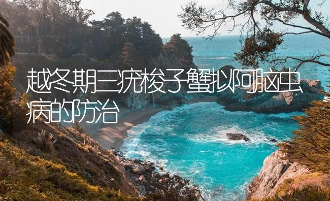 越冬期三疣梭子蟹拟阿脑虫病的防治 | 海水养殖技术