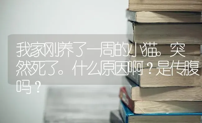 我家刚养了一周的小猫。突然死了。什么原因啊？是传腹吗？ | 动物养殖问答