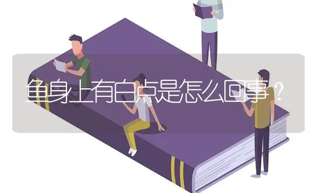 鱼身上有白点是怎么回事？ | 鱼类宠物饲养