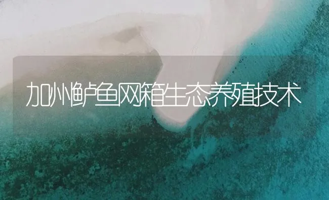 加州鲈鱼网箱生态养殖技术 | 海水养殖技术