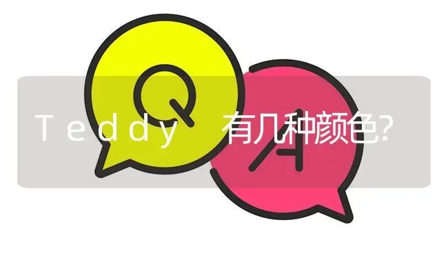 Teddy 有几种颜色？ | 动物养殖问答