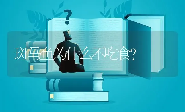 斑马鱼为什么不吃食？ | 鱼类宠物饲养