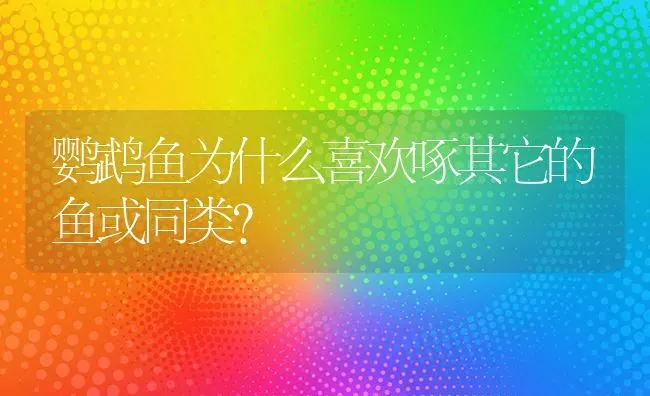 鹦鹉鱼为什么喜欢啄其它的鱼或同类？ | 动物养殖问答