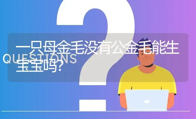 一只母金毛没有公金毛能生宝宝吗？ | 动物养殖问答