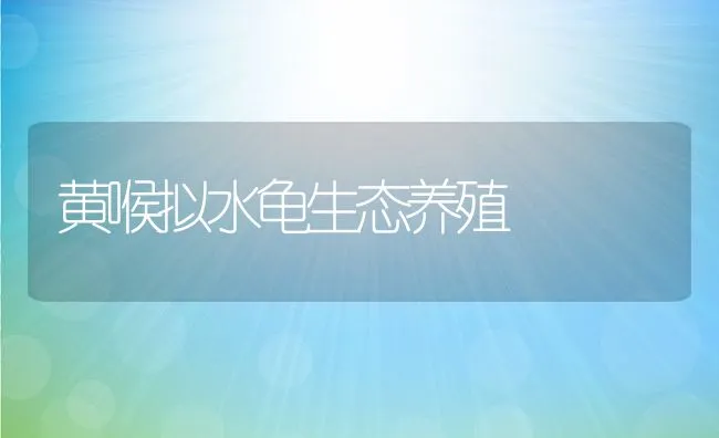 黄喉拟水龟生态养殖 | 动物养殖饲料