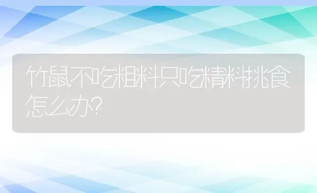 竹鼠不吃粗料只吃精料挑食怎么办？ | 动物养殖教程