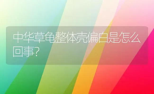 中华草龟整体壳偏白是怎么回事？ | 动物养殖问答