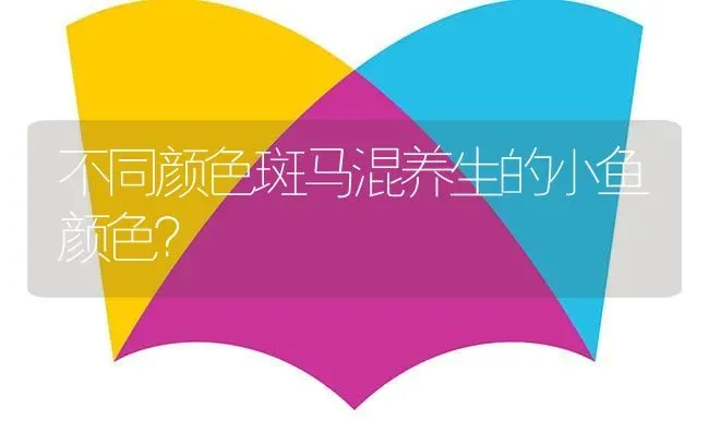 不同颜色斑马混养生的小鱼颜色？ | 鱼类宠物饲养