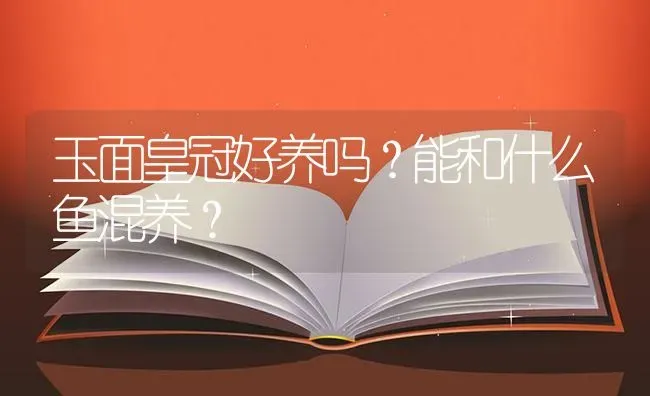 玉面皇冠好养吗？能和什么鱼混养？ | 鱼类宠物饲养