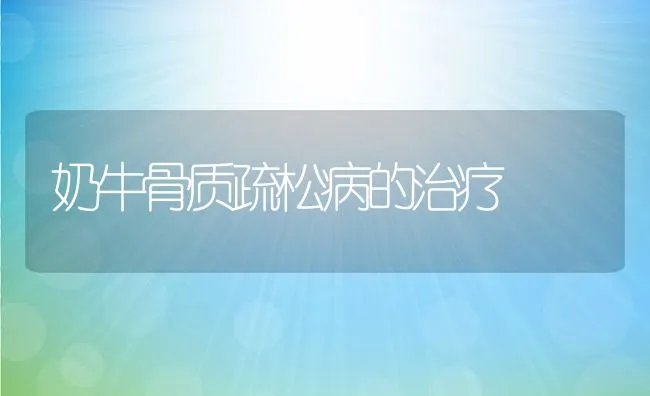 奶牛骨质疏松病的治疗 | 动物养殖学堂