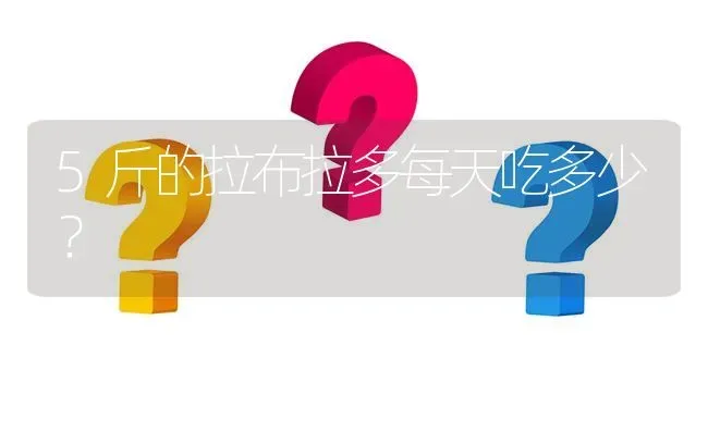 5斤的拉布拉多每天吃多少？ | 动物养殖问答