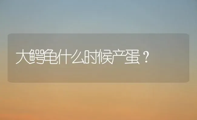 柯基国籍？ | 动物养殖问答