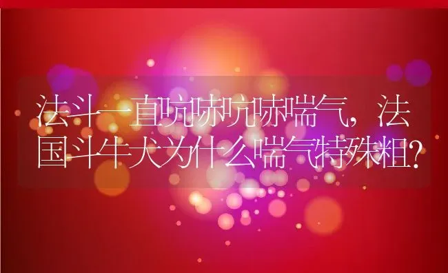 法斗一直吭哧吭哧喘气,法国斗牛犬为什么喘气特殊粗？ | 宠物百科知识