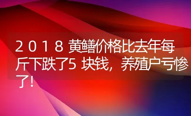 2018黄鳝价格比去年每斤下跌了5块钱，养殖户亏惨了！ | 动物养殖百科