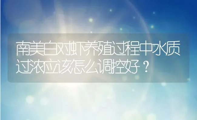 南美白对虾养殖过程中水质过浓应该怎么调控好？ | 动物养殖百科