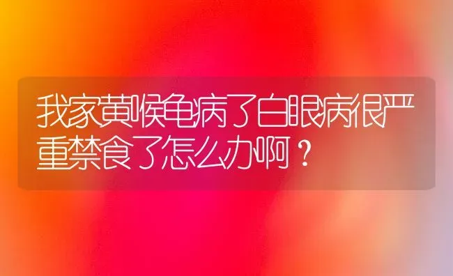 我家黄喉龟病了白眼病很严重禁食了怎么办啊？ | 动物养殖问答