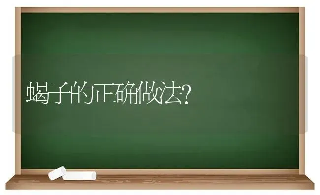 蝎子的正确做法？ | 动物养殖问答