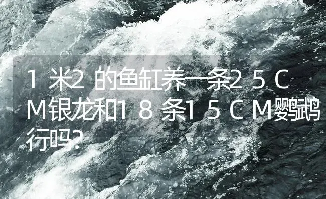 1米2的鱼缸养一条25CM银龙和18条15CM鹦鹉行吗？ | 鱼类宠物饲养